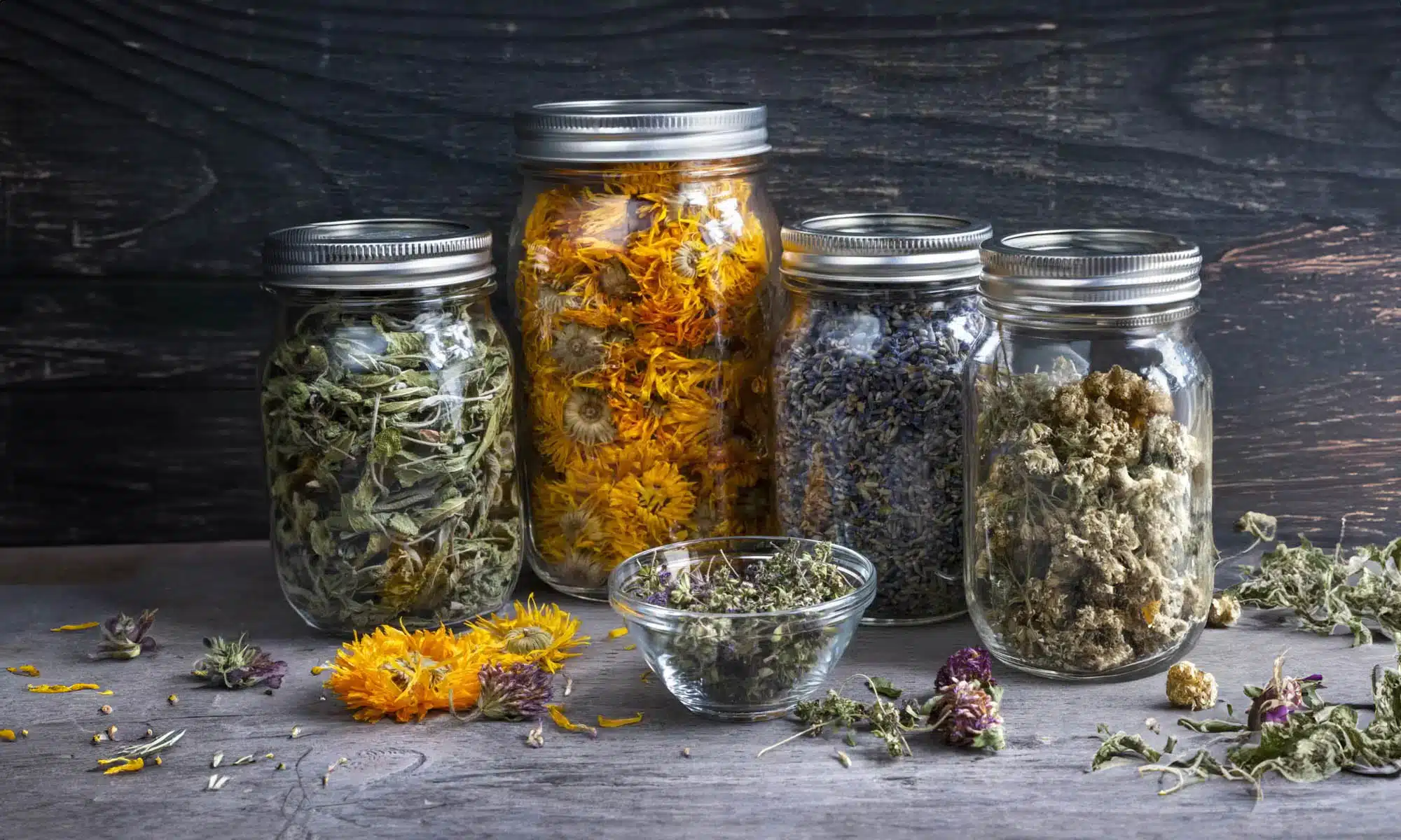 Botanical Herbs