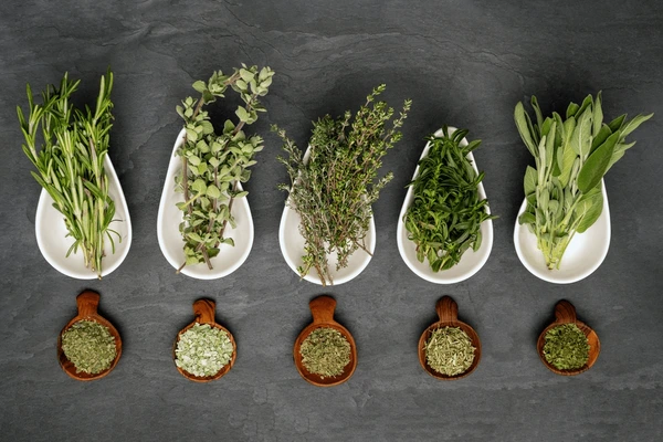 Culinary Herbs