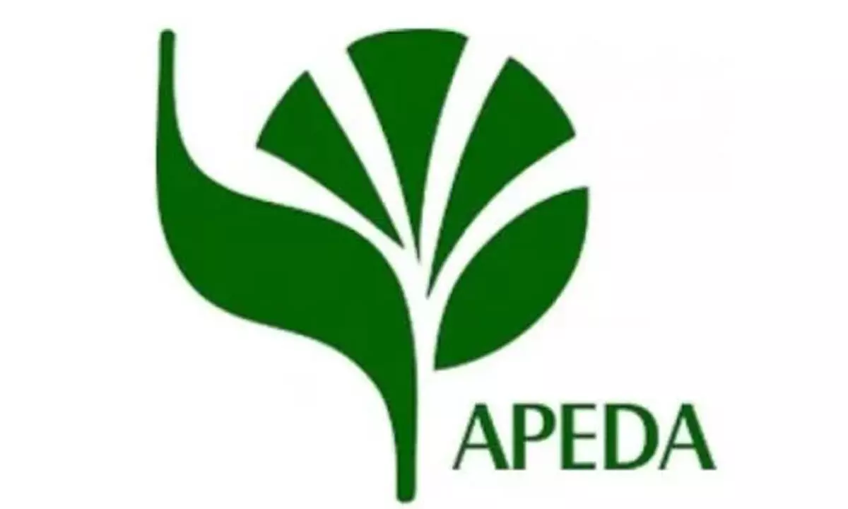 apeda